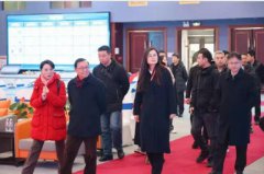 中国农业国际合作促进会一行到访国联股份肥多多